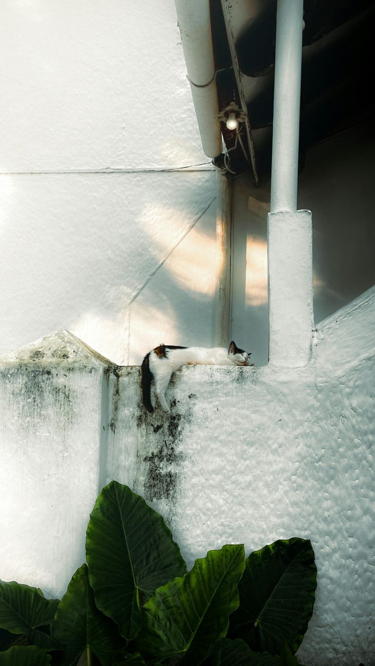 Top 10 Trending Mobile Games in India: The Ultimate August 2025 List