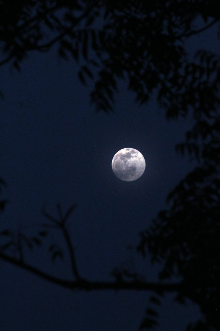 The Top 10 Viral YouTube Challenges That Broke the Internet in 2025